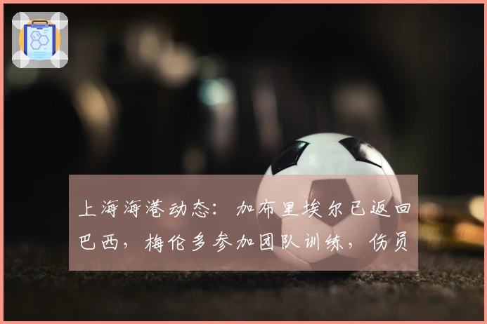 上海海港动态：加布里埃尔已返回巴西，梅伦多参加团队训练，伤员超过十人