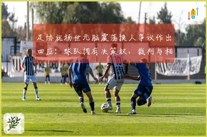 足协就杨世元脑震荡换人争议作出回应：球队拥有决策权，裁判与相关官员无权干预