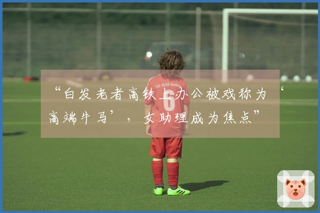 “白发老者高铁上办公被戏称为‘高端牛马’，女助理成为焦点”